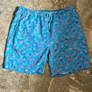 Peter Millar Mens swim trunks
